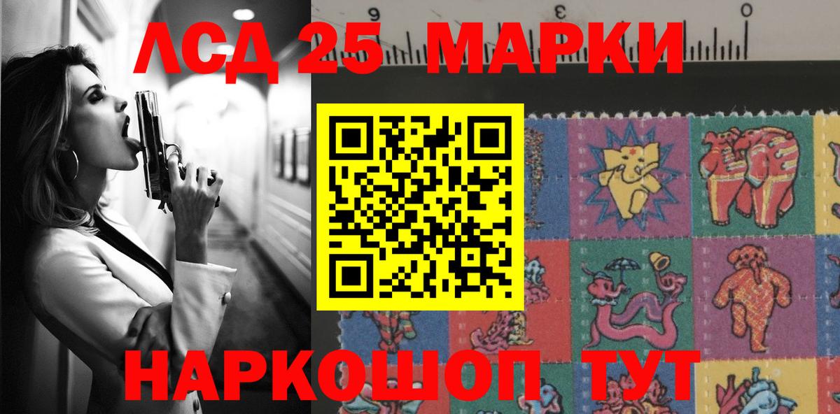 Галлюциногенные грибы Назрань